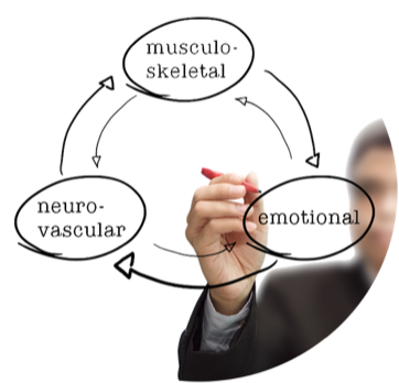 Integrated Headache Model A New Approach to Headache and Migraine